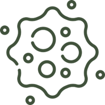 Exosomes