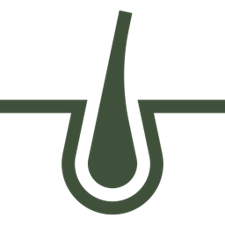 Preparation icon