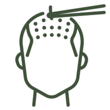 Implantation icon
