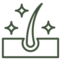Promote growth icon